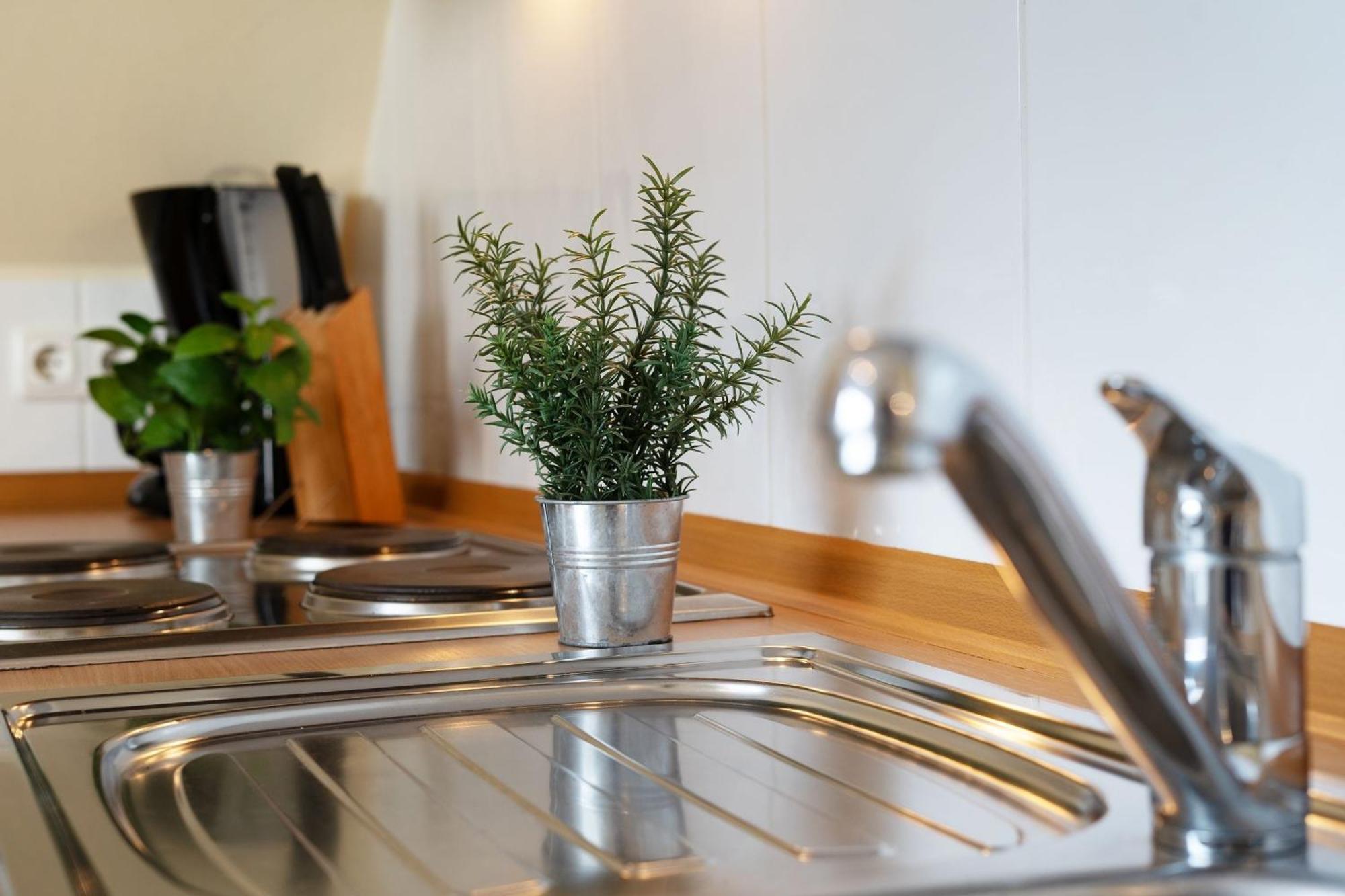 Apartmán Cismarer Strasse 32 Sonne Und Wind 2 Dahme  Exteriér fotografie